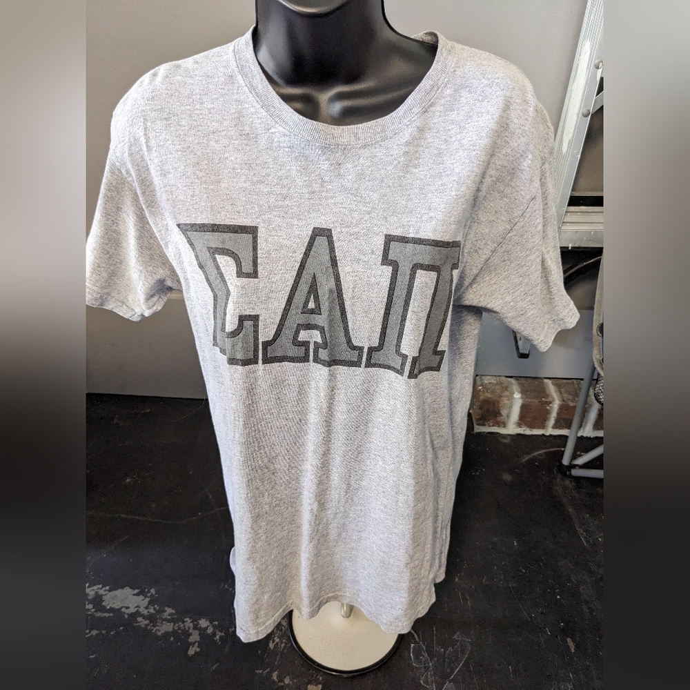 Women's Small Gray Hanes Sigma Alpha Pi T-Shirt